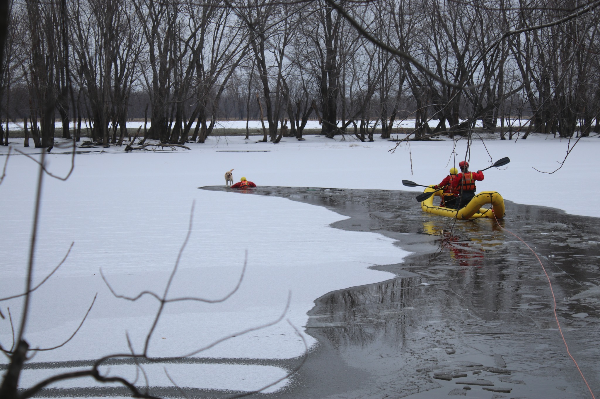 N.B. dog owner ‘eternally grateful’ after firefighters rescue pets from frozen river