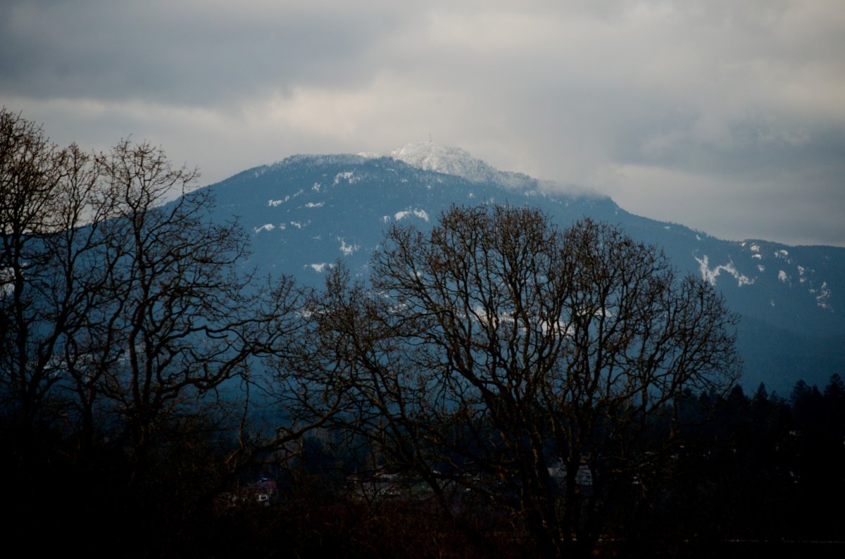 A photo of Mount Benson on a cloudy day.