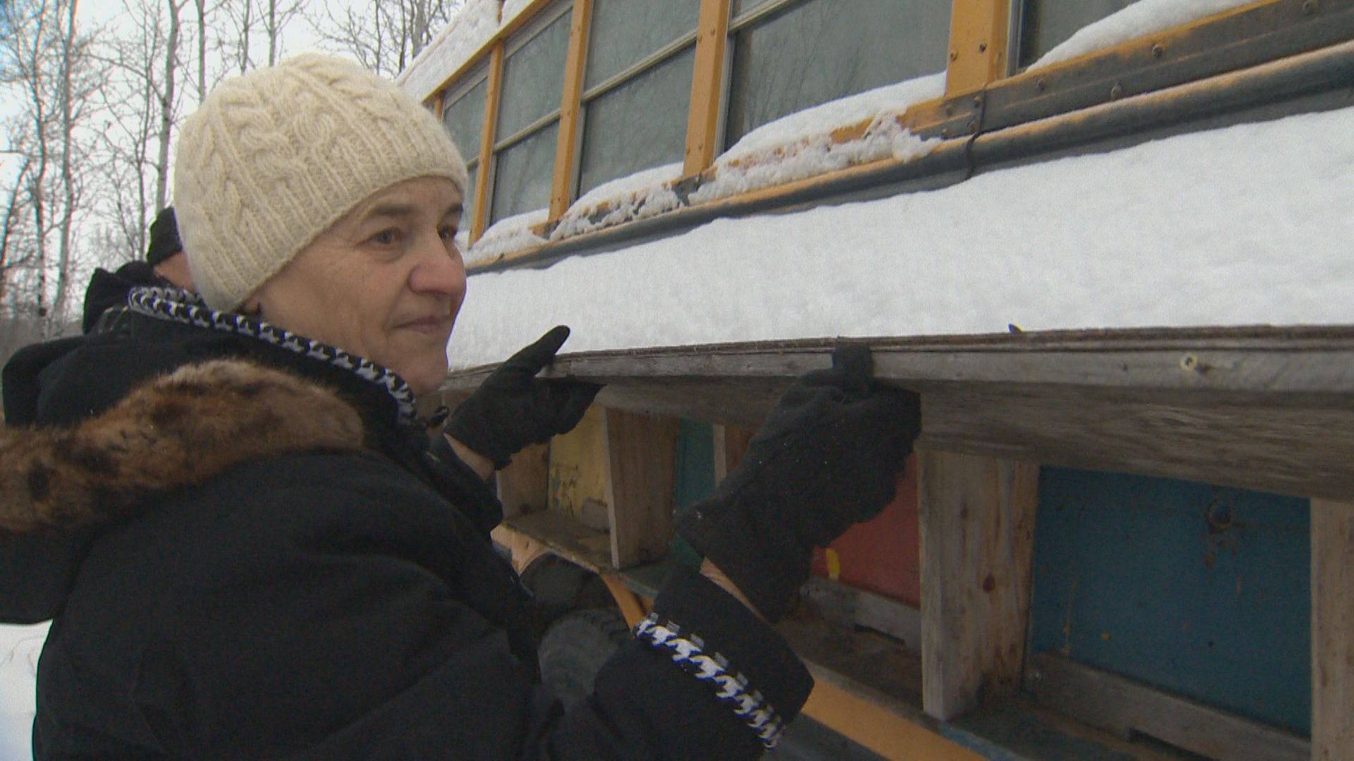 Има четири училищни автобуса в имота на Kostrabas близо до