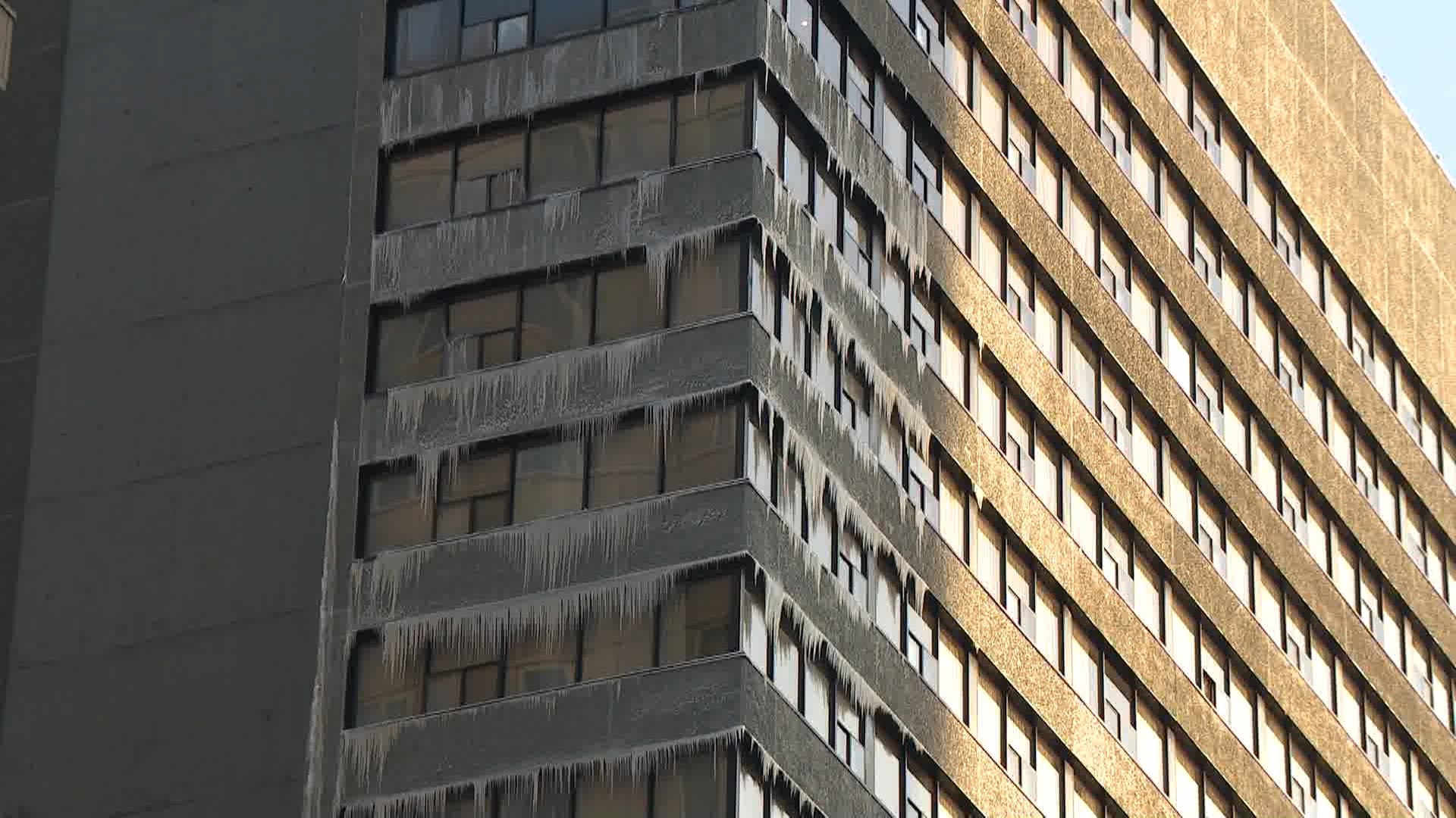 Калгарци се възстановяват от последиците от скорошното застудяване при което