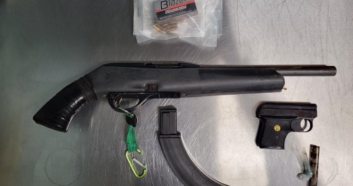 Моторна шейна намерена с огнестрелни оръжия, наркотици по пътека в Hastings Highlands: Bancroft OPP