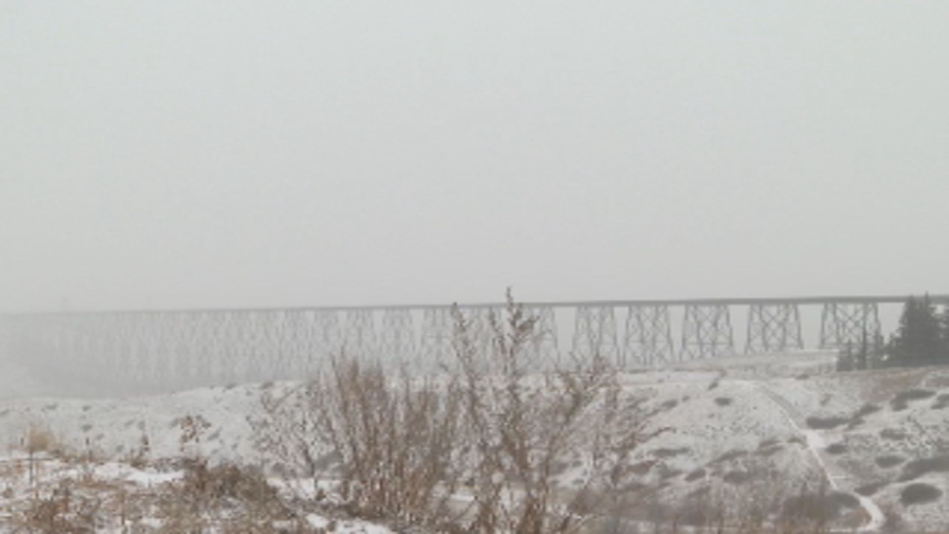 Полярният вихър който засяга Алберта се отрази на бизнеса и