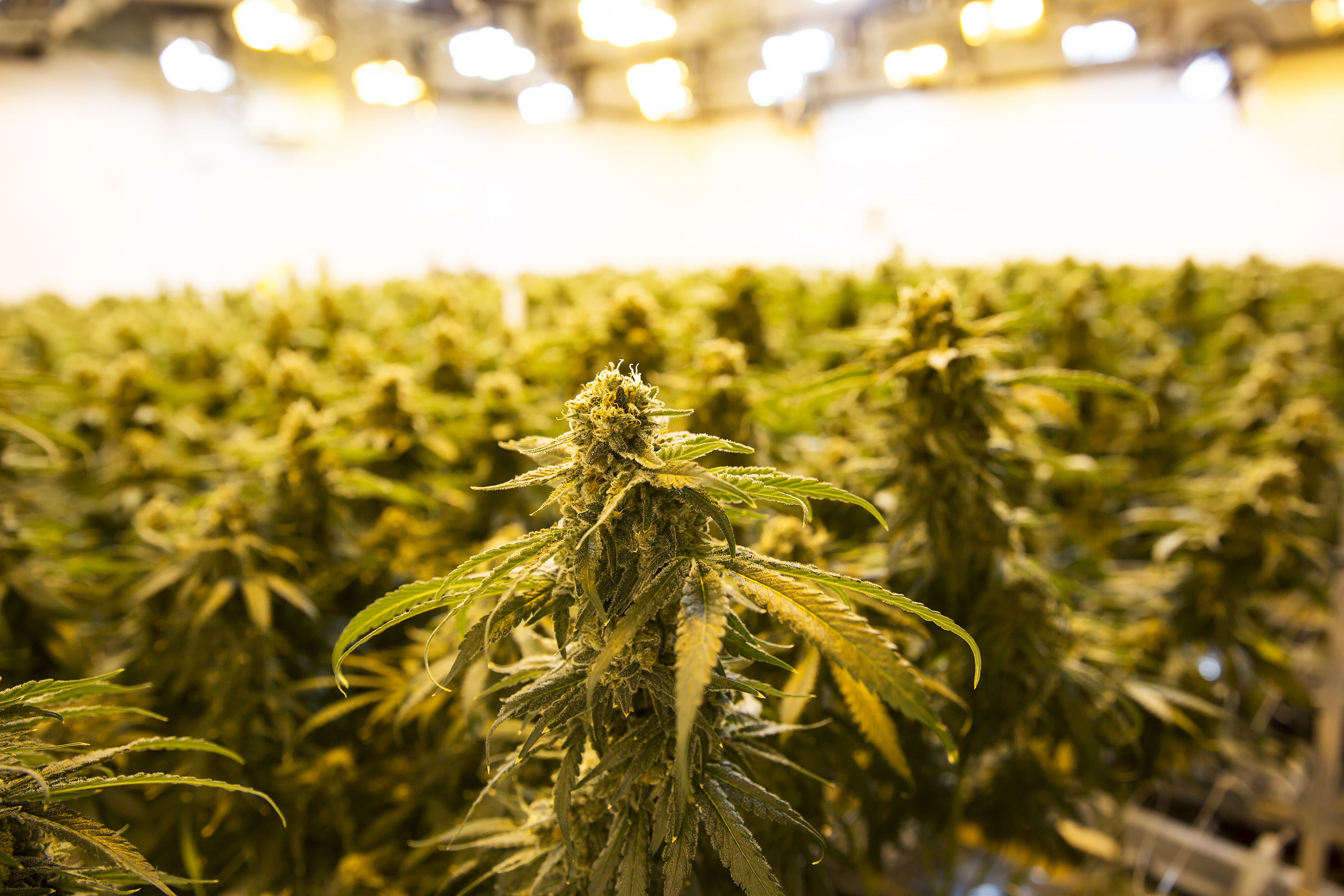 Началото на 2024 г беше период на промяна за индустрията