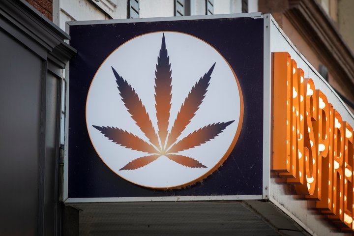 Surrey considering allowing up to 12 legal cannabis dispensaries in the city