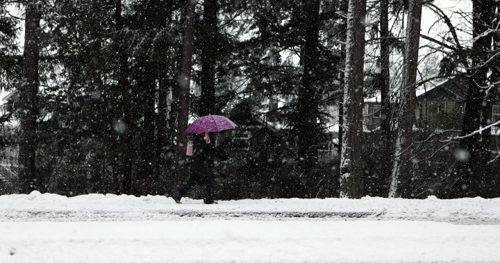 Снеговалежът затваря училищата, спира доставките на Canada Post из остров Ванкувър