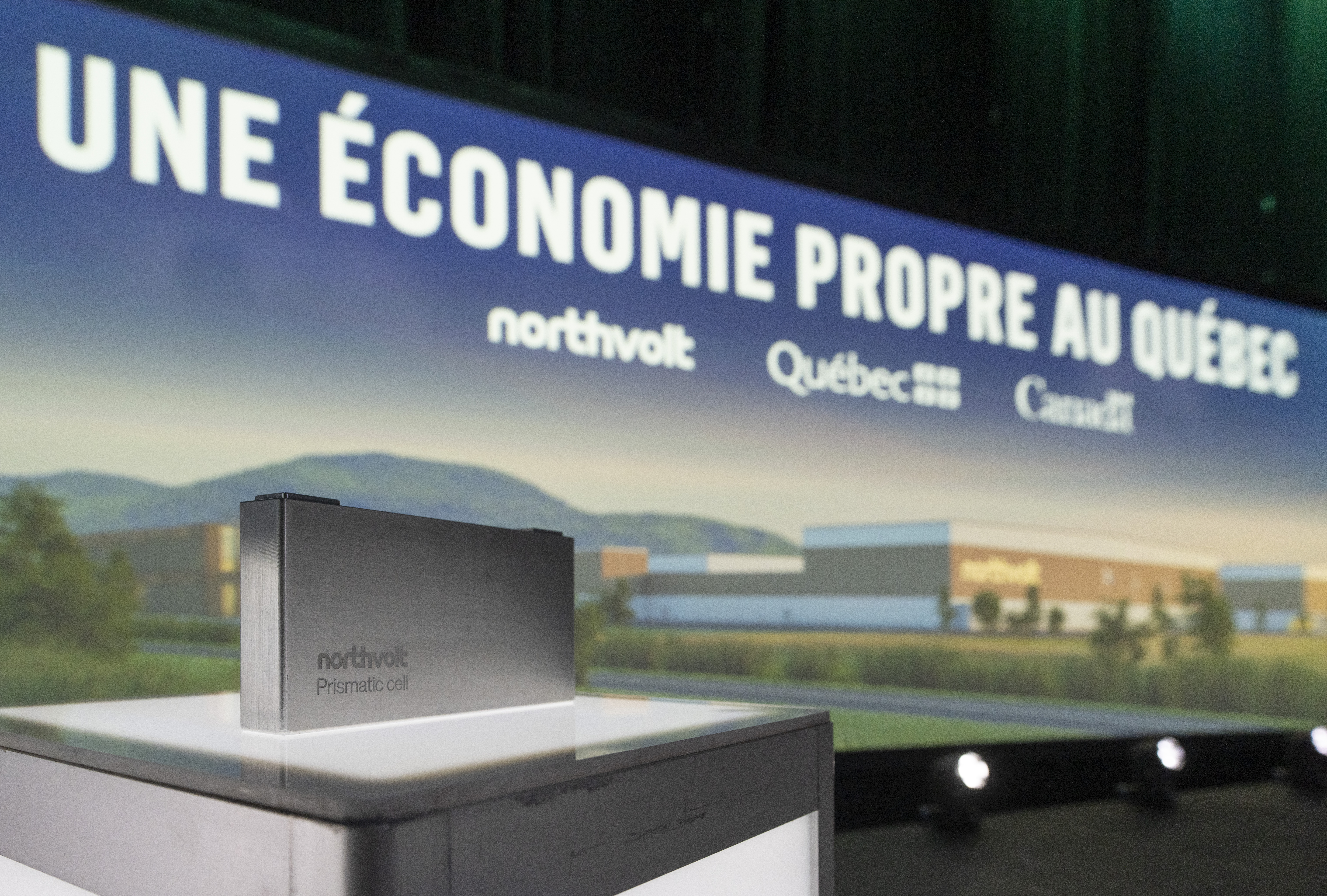 Започна работа по изсичането на хиляди дървета на бъдещото място