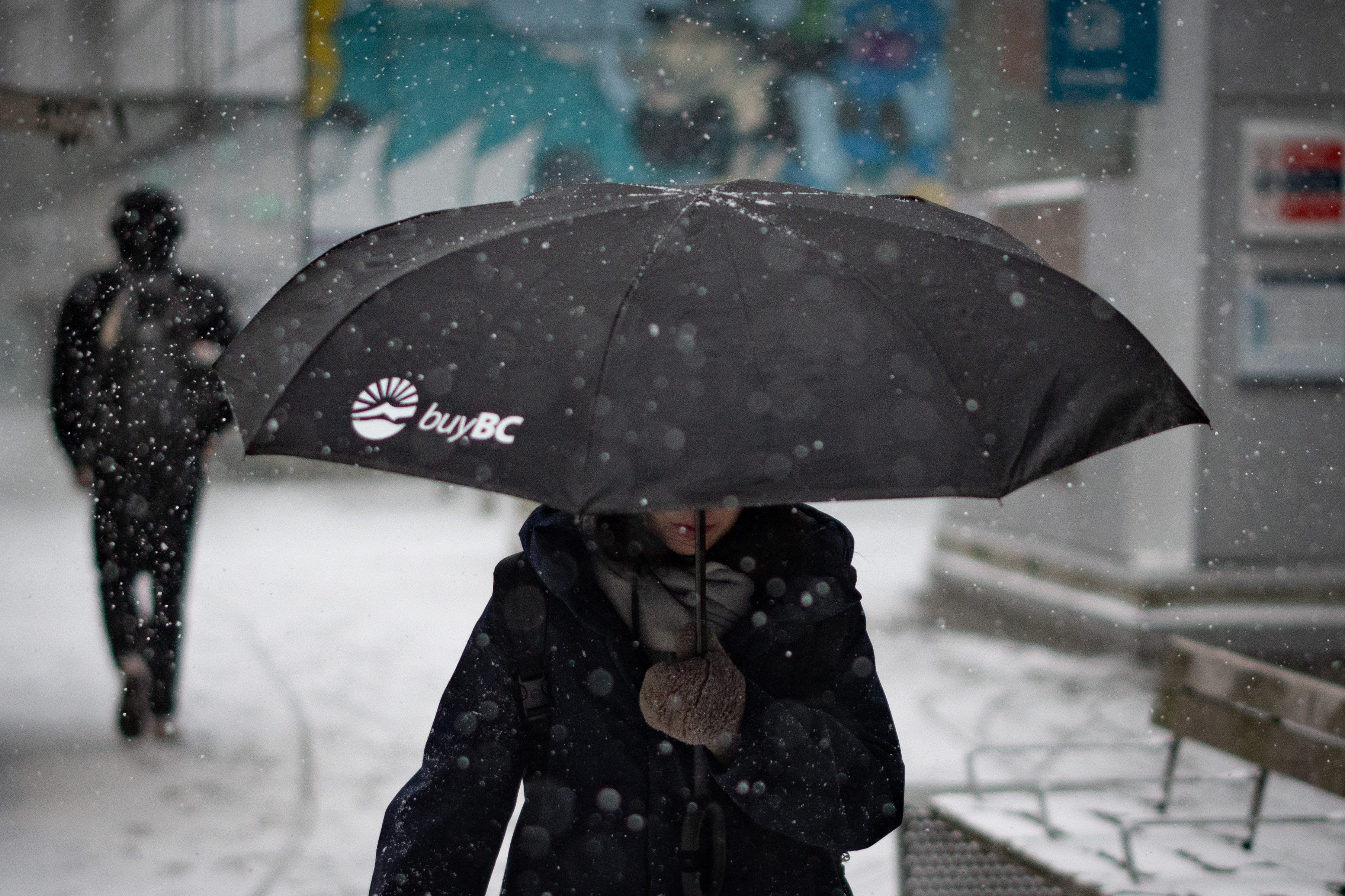 Градски съветник от Ню Уестминстър и Съри подновява призивите за