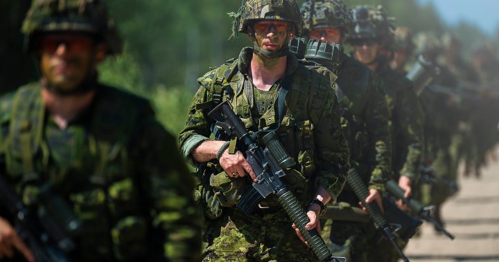 加拿大陆军预备役士兵在金斯顿举行训练演习