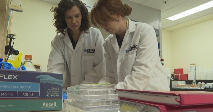 Изследователите от Квебек разглеждат насочването на възпалението като възможно лечение на ALS