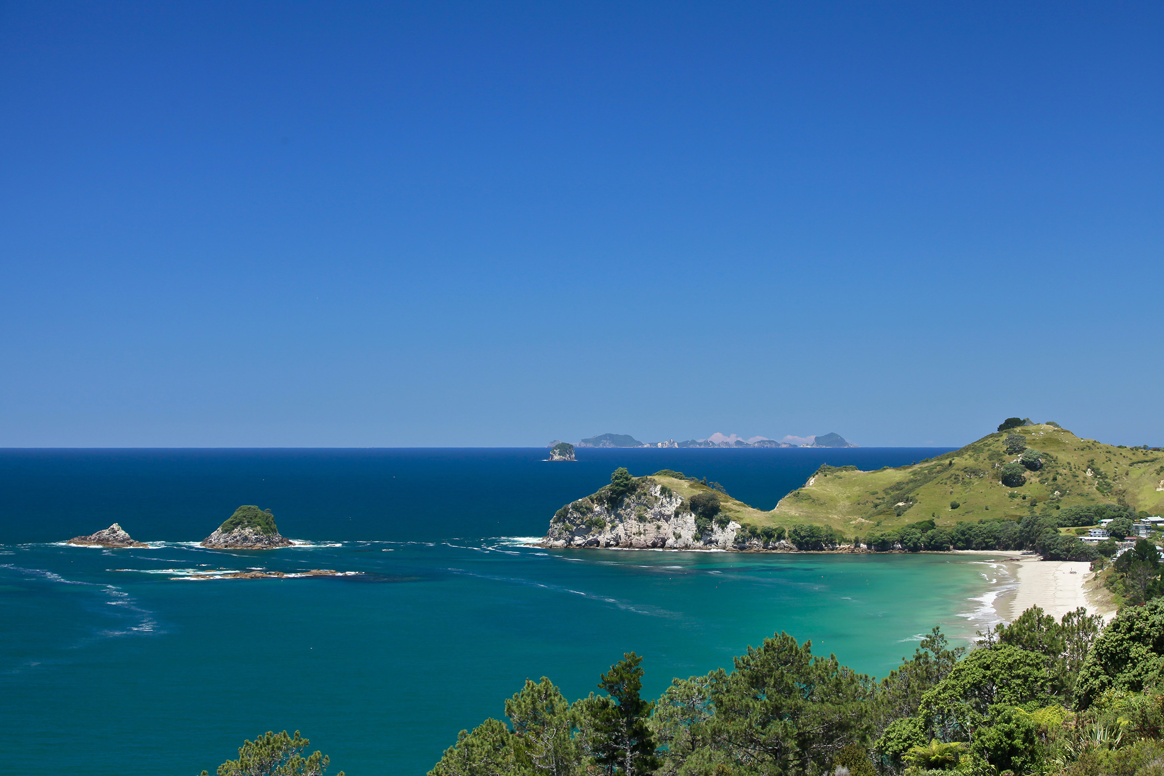 Рибар от Нова Зеландия има късмета да е жив след