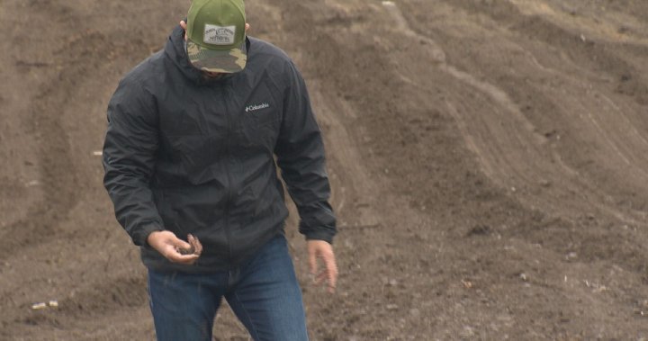 Земеделските производители поддържат оптимизъм за пролетната сеитба въпреки зимната суша