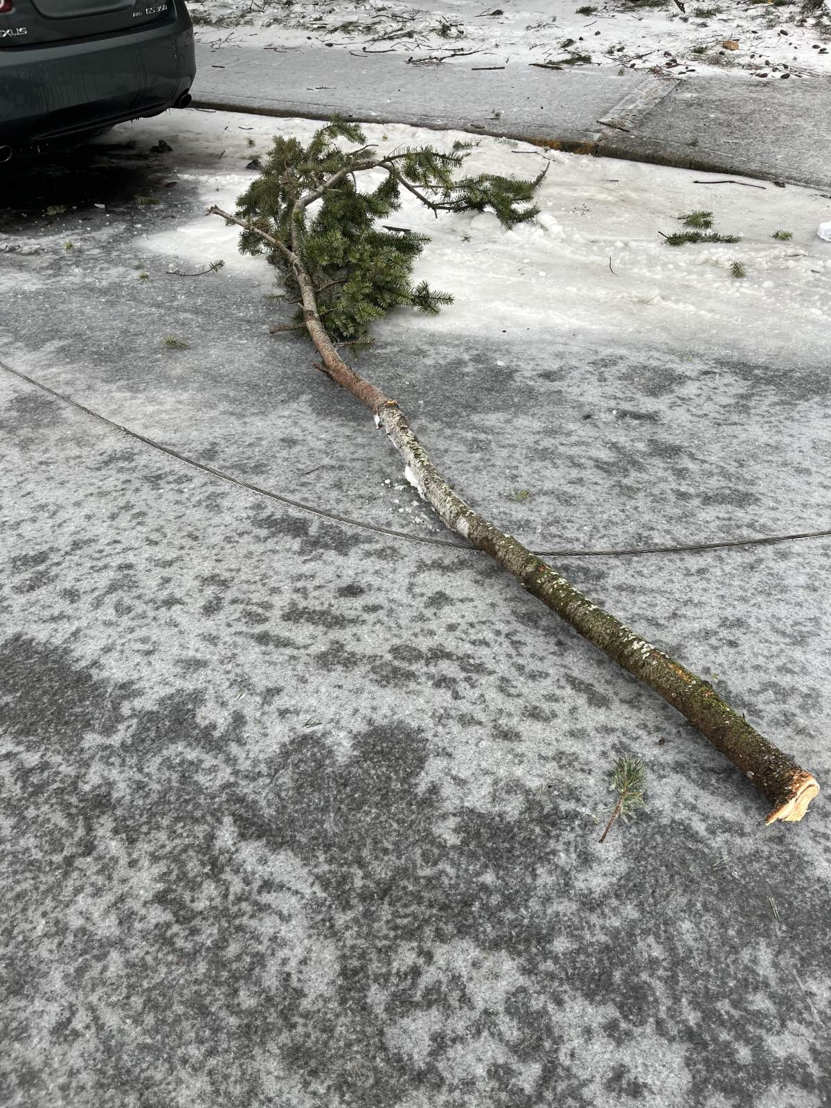 Image of a large, snapped tree branch over top of a downed power line, provided by Portland Fire & Rescue.