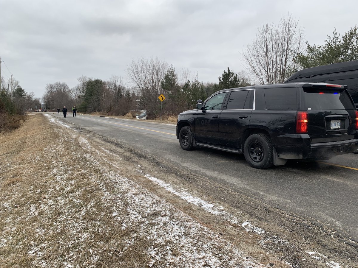 OPP are investigating after a pedestrian was hit and killed by a vehicle on a road north of Sydenham Friday.