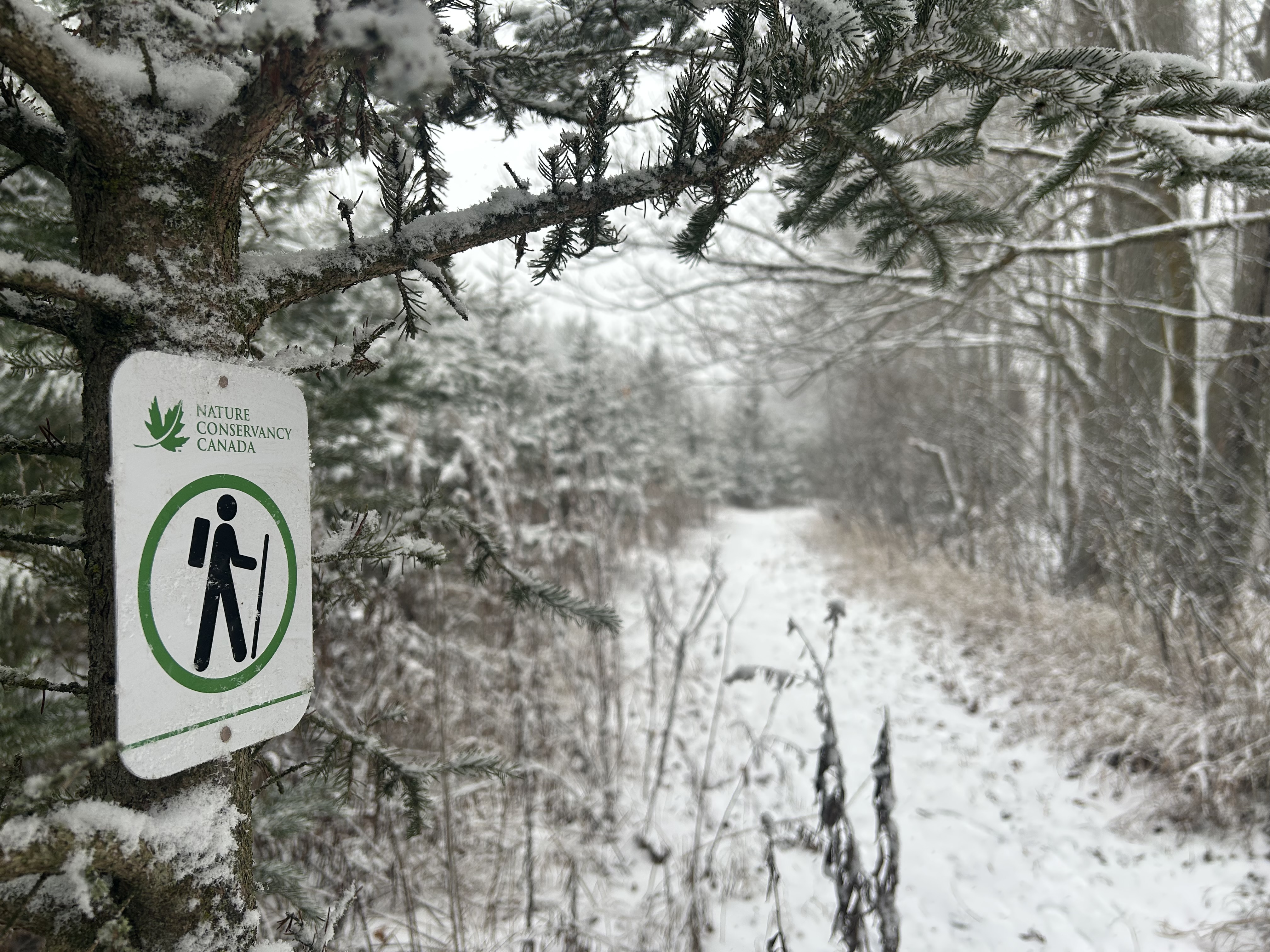 Природният резерват Мери Уест е имот от 38 хектара близо