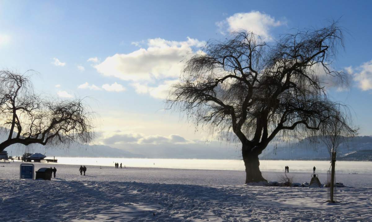 People walking out onto the ice on Okanagan Lake at Rotary Beach in Kelowna.