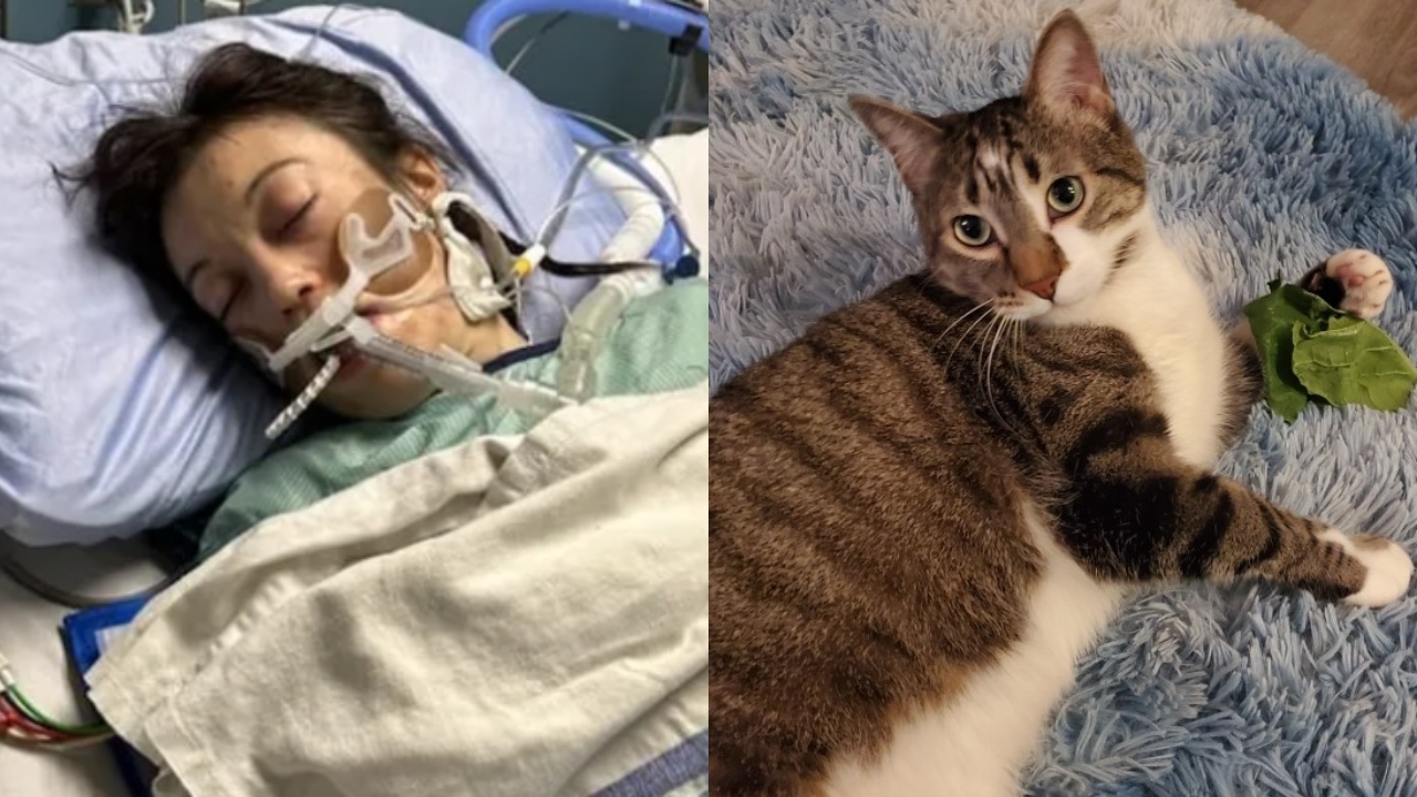 Докато жителите на жилищна сграда в южен Едмънтън унищожена от