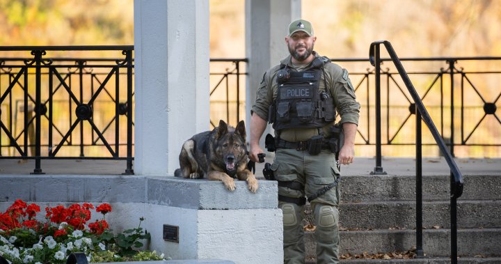 萨斯卡通警察局退役了犬只部队的布赖恩