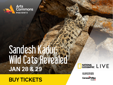 National Geographic Live – Sandesh Kadur: Wild Cats Revealed, Supported by QR Calgary - image