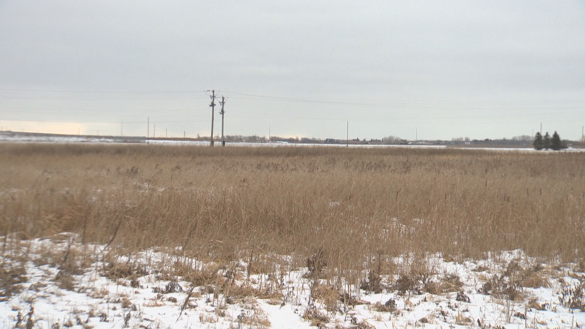 Базирана в Япония компания разглежда Манитоба като потенциално място за