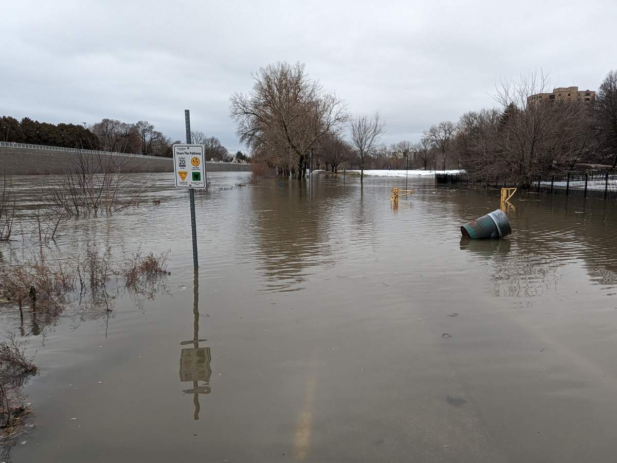 Low lying areas, such as Harris Park (pictured), should be avoided according to the Upper Thames River Conservation Authority. 