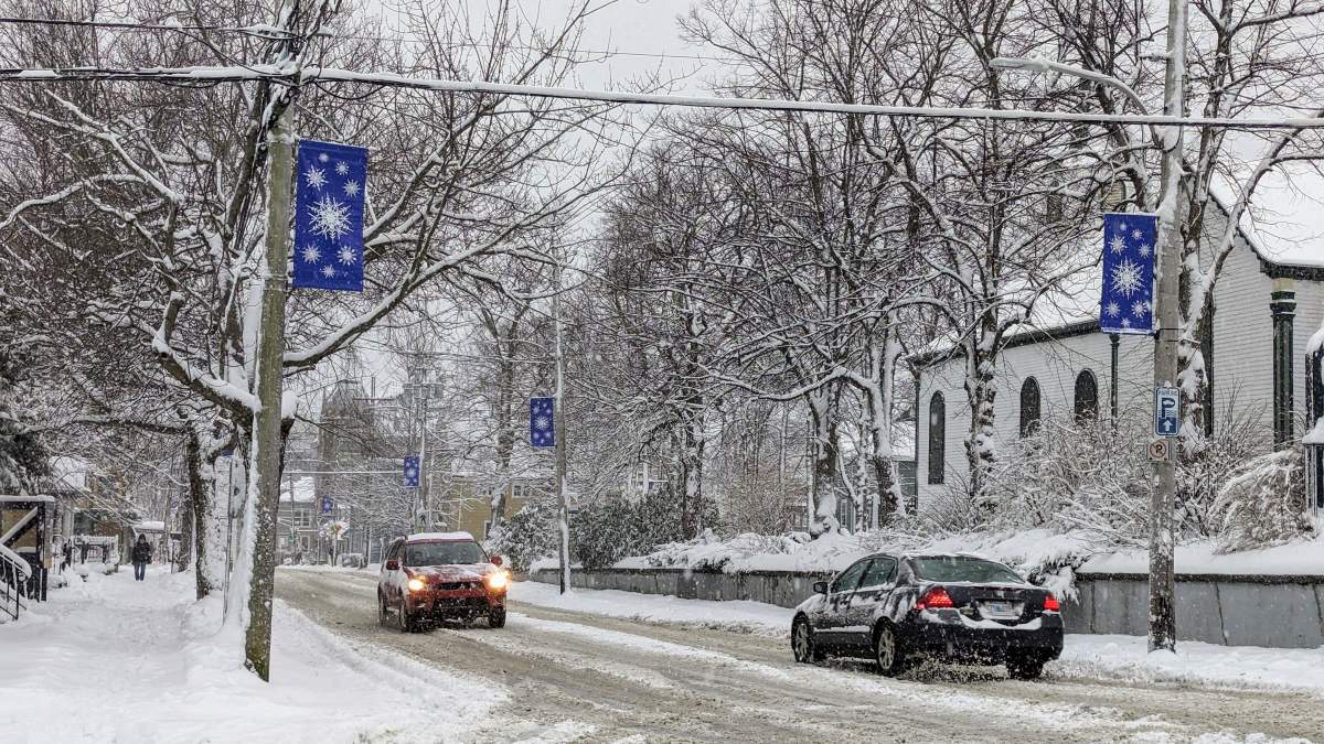Cars drive through the snow during a nor’easter on Jan. 29, 2024.