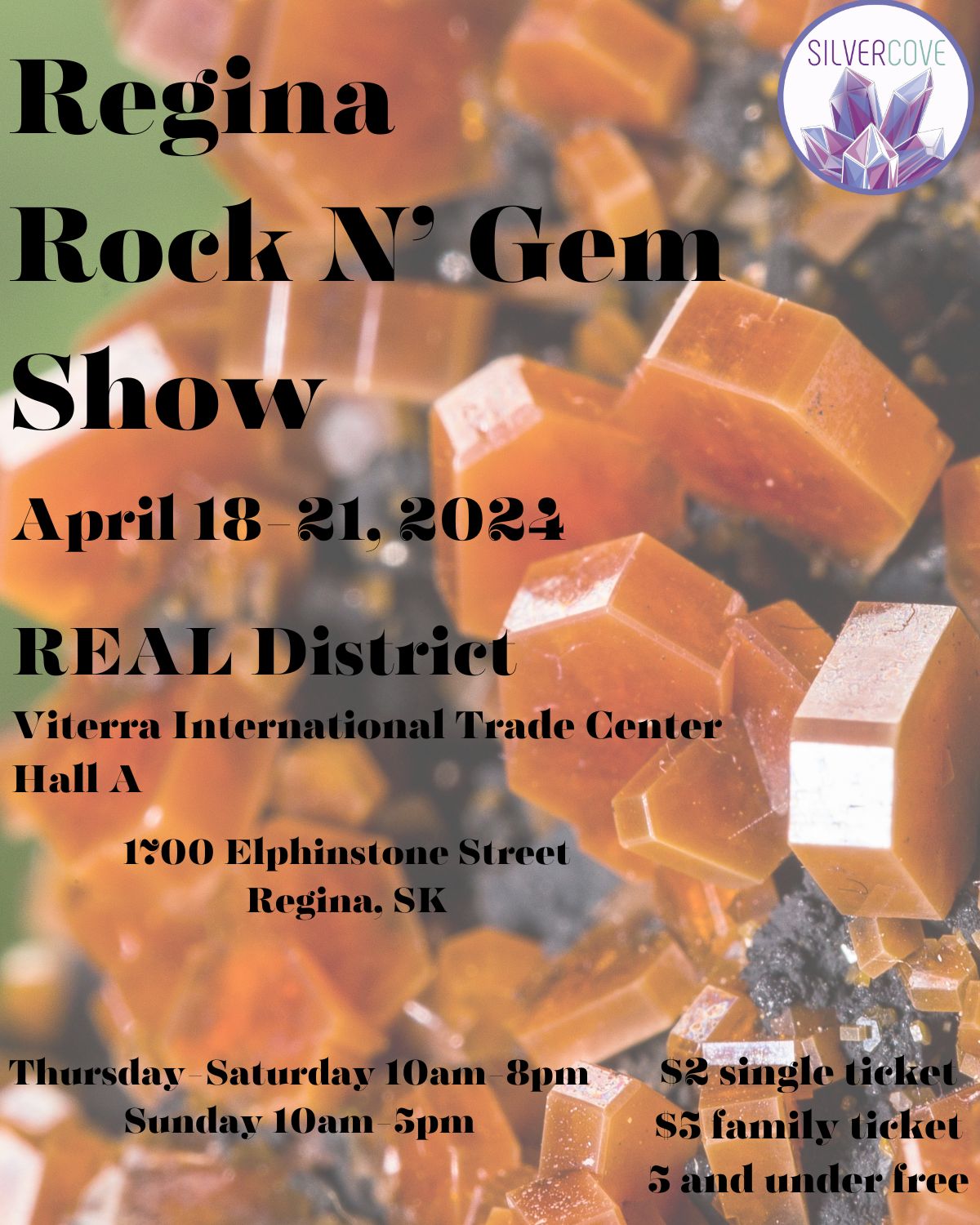 Regina Rock N’ Gem Show - image