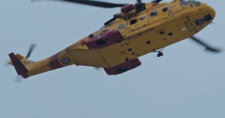 Един човек загина след като хеликоптер се разби близо до Ревелстоук, Британска Колумбия