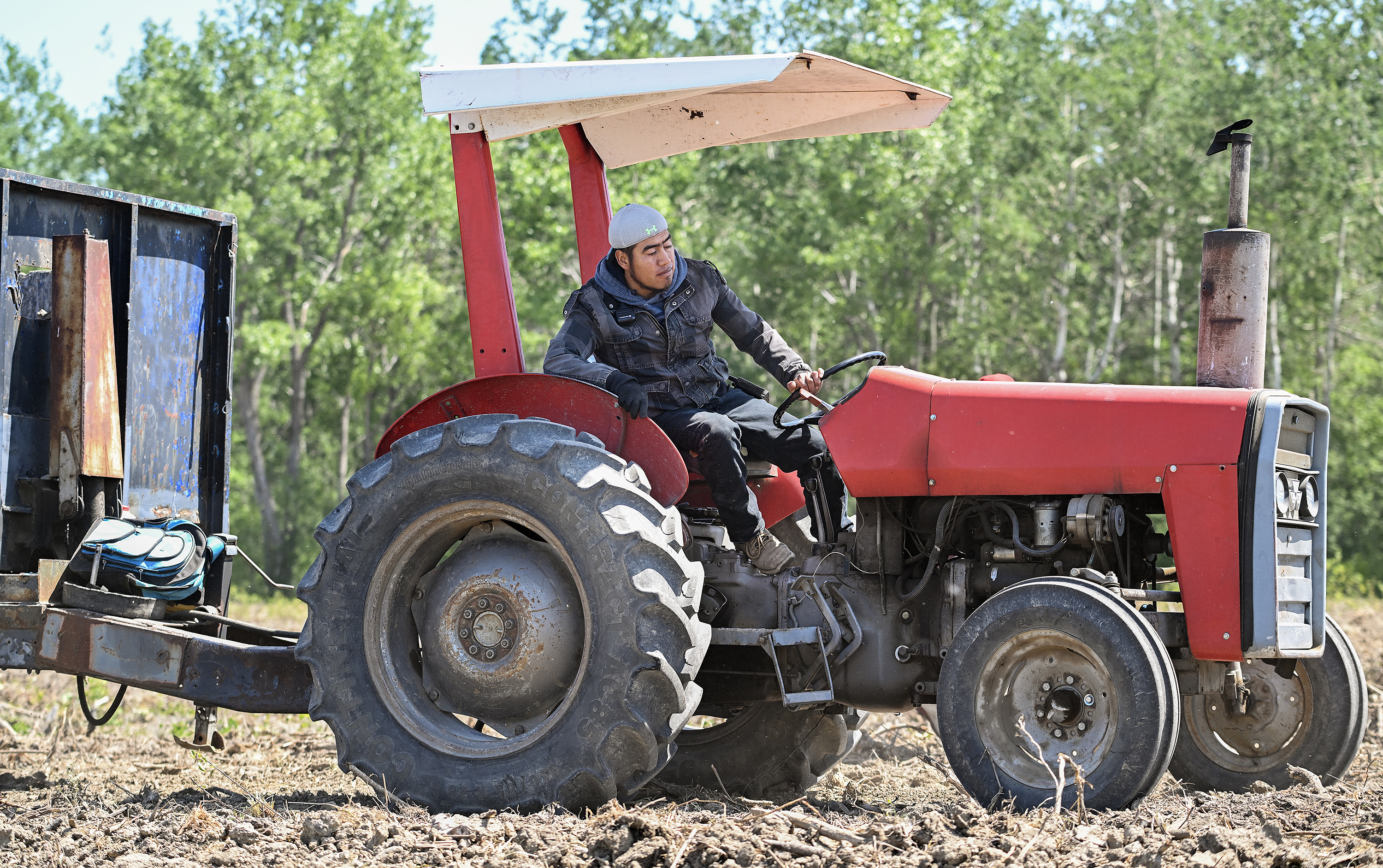 Трябва ли сезонните селскостопански работници в Канада да отговарят на