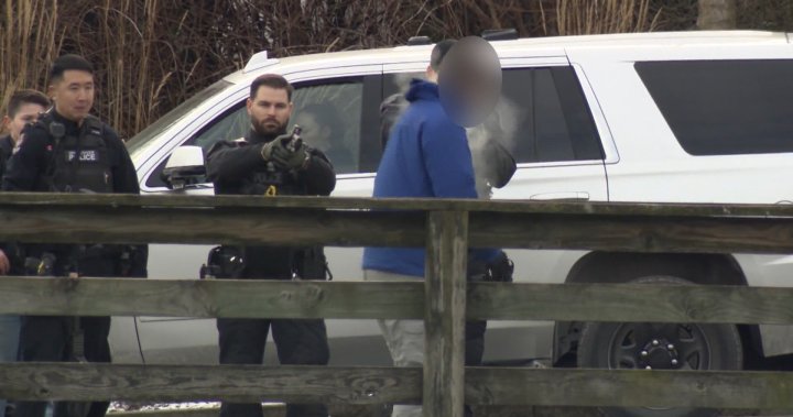 男子在格兰维尔岛附近进行“暴力抢劫”后在海堤上被捕