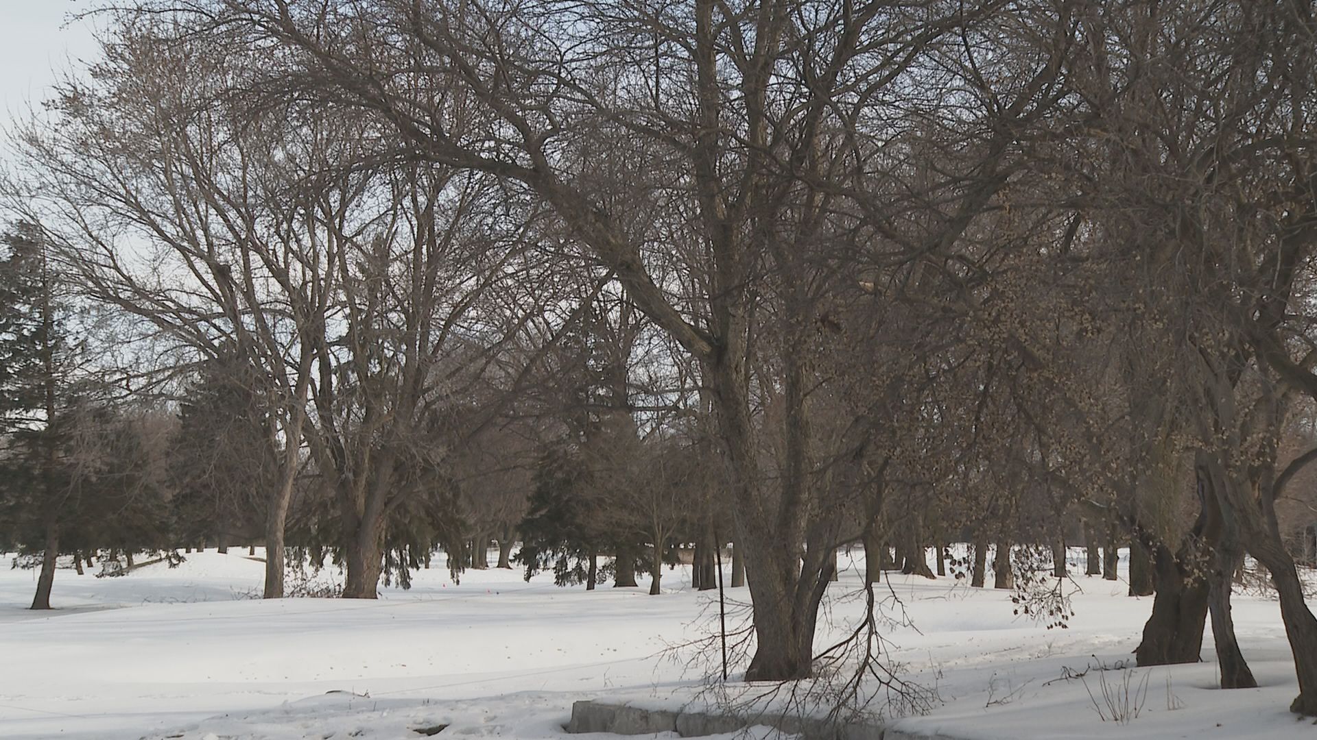 Кънтри клубът на Монреал голф игрище с 18 дупки в