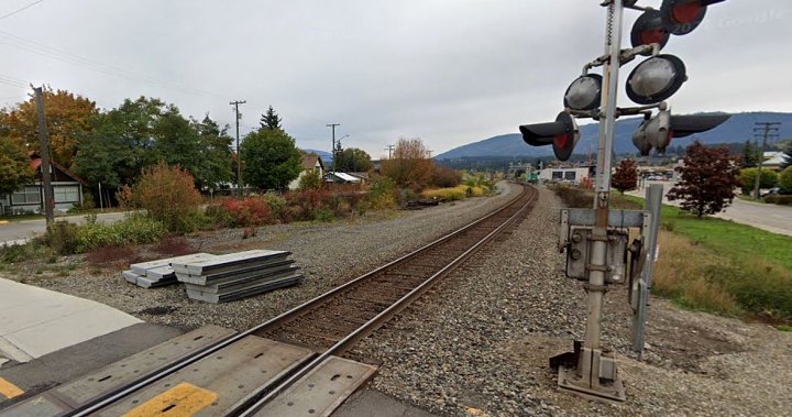 Мъж е мъртъв, след като е бил блъснат от влак: Salmon Arm RCMP