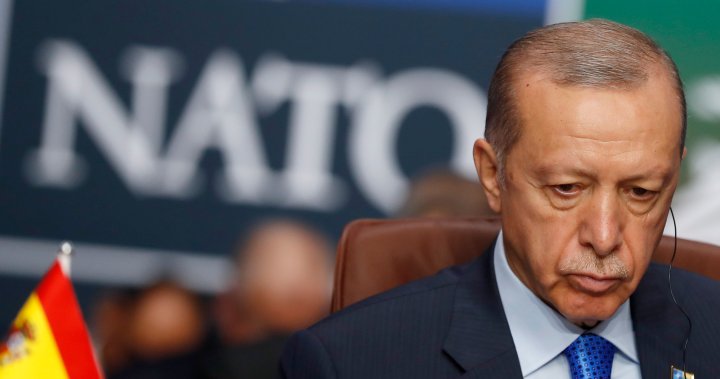 Турция ще одобри кандидатурата на Швеция за членство в НАТО след дълго забавяне