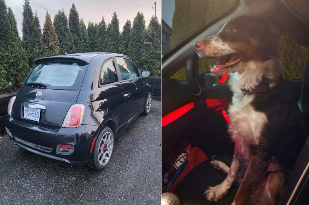 A vehicle was stolen with a dog inside of it in New Westminster on Mon. Jan. 15, 2024.