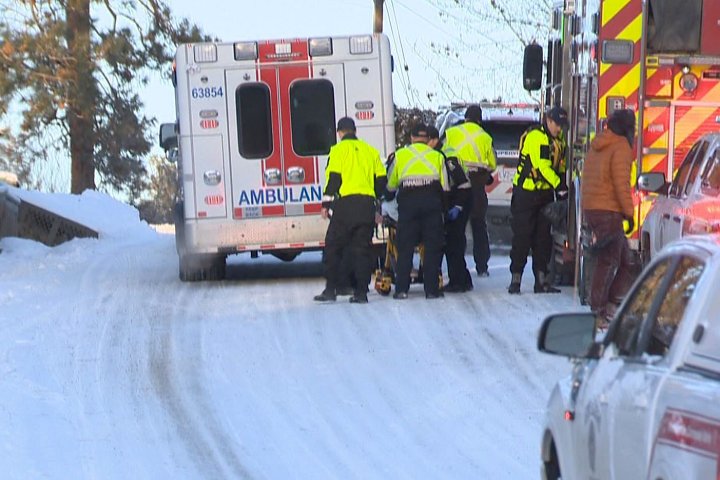 Bystanders rescue 2 people, dog who fell through Okanagan Lake ice