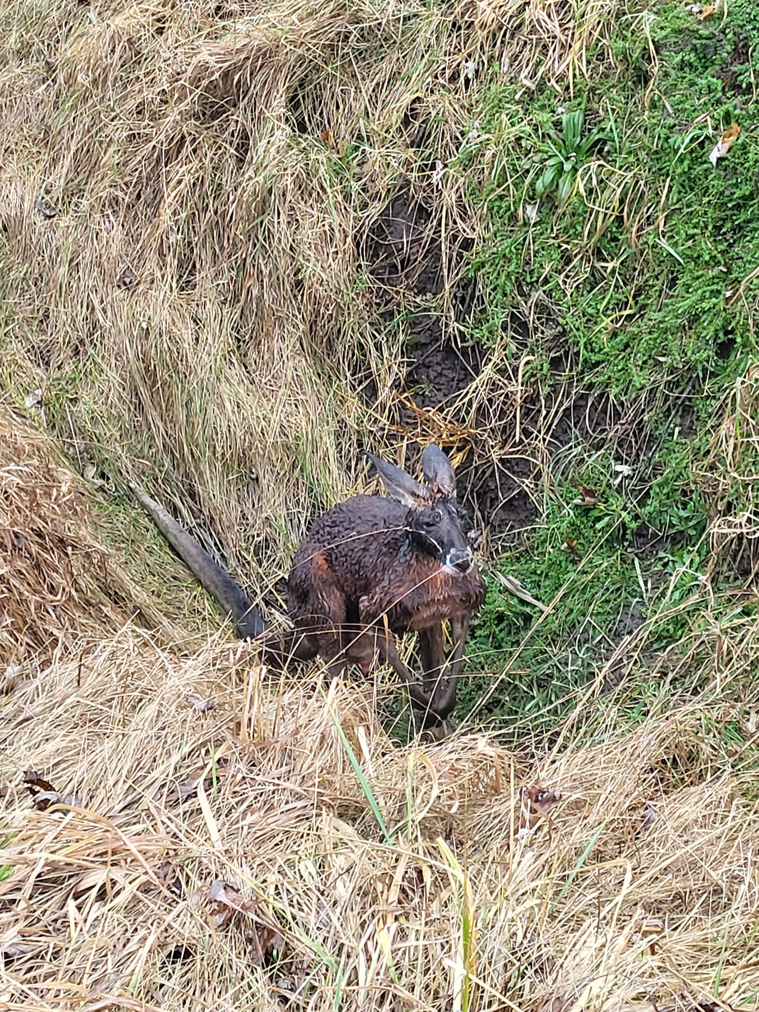 Представете си изненадата на шофьора на Amazon Алексис Прочники когато