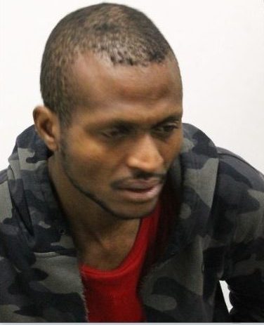 Man arrested after sliding under washroom stall, sexually assaulting victim: Toronto police - image