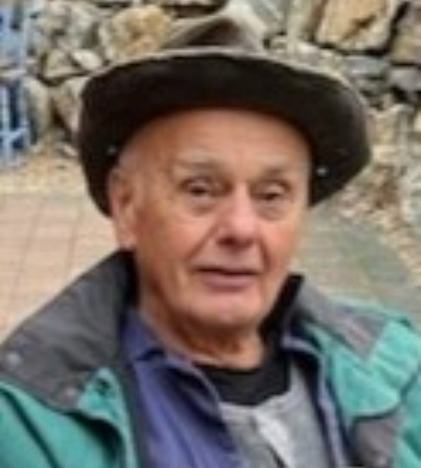 Search for missing North Okanagan man continues