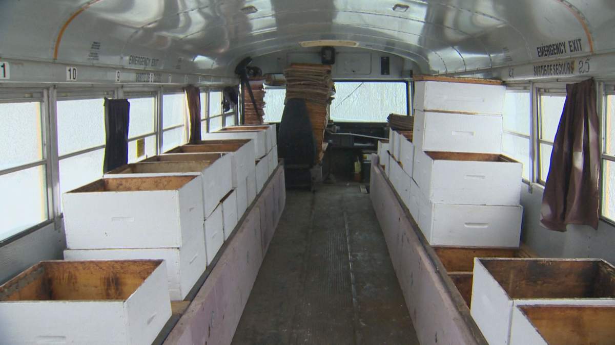 The inside of a school bus. The seats have been removed and replaced with stacking white boxes that serve as beehives.