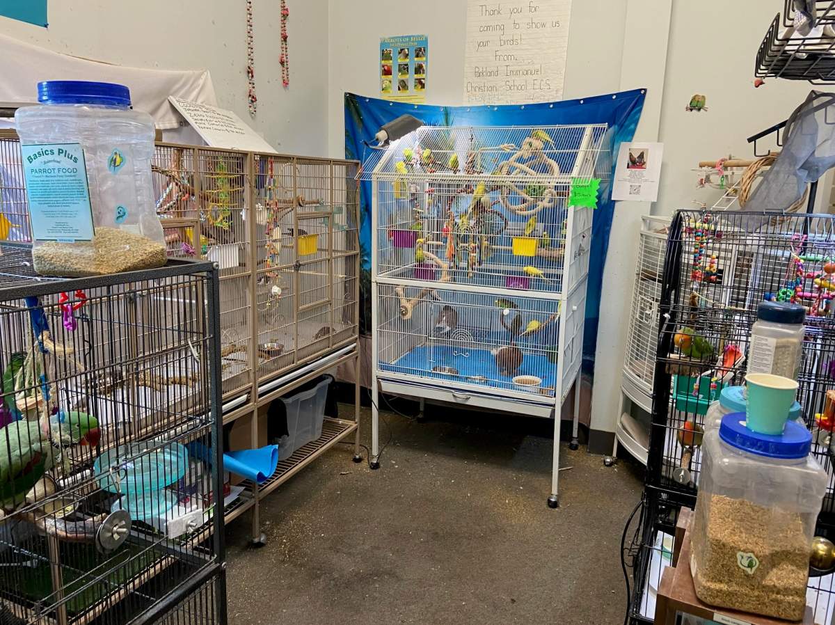 Meika’s Safehouse, in Sherwood Park, Alta., rehabilitates and provides a safe and loving environment for birds that have been rescued, surrendered or taken in by other groups.