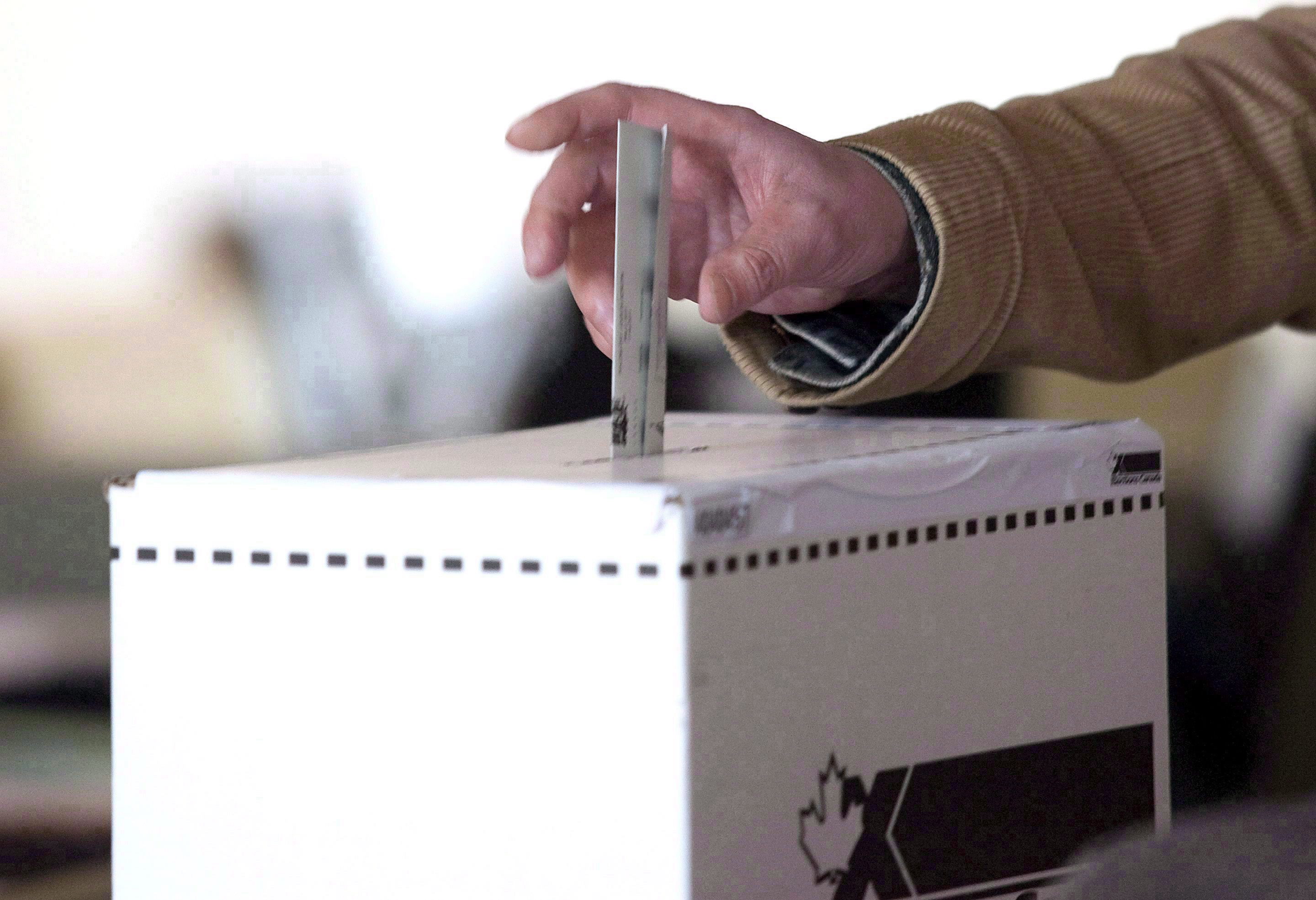 Elections Canada launches online tool to tackle voting ‘misconceptions’