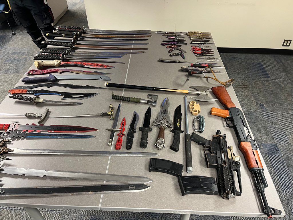 While dismantling several homeless encampments in Edmonton, police say they discovered several Samurai swords, machetes, knives and other weapons.