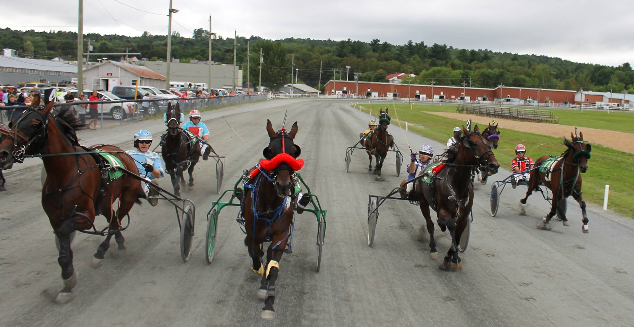 Fredericton to permanently disallow horse racing on exhibition grounds