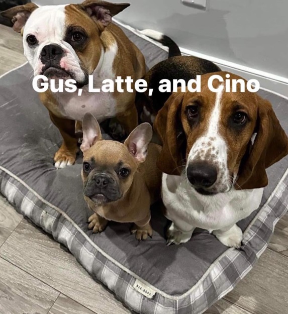 Teresa Nisperos' dogs Gus and Latte.