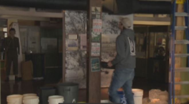 Когато Ухапаната Тисдейл започна да чува странни звуци идващи от