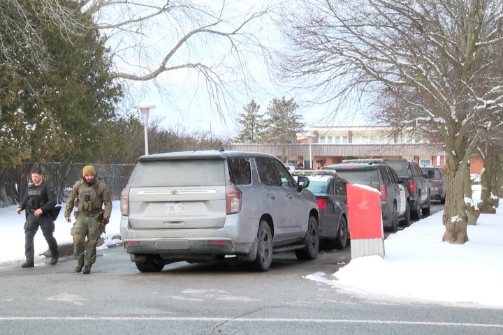 Domestic dispute leads to large police response in Napanee: OPP