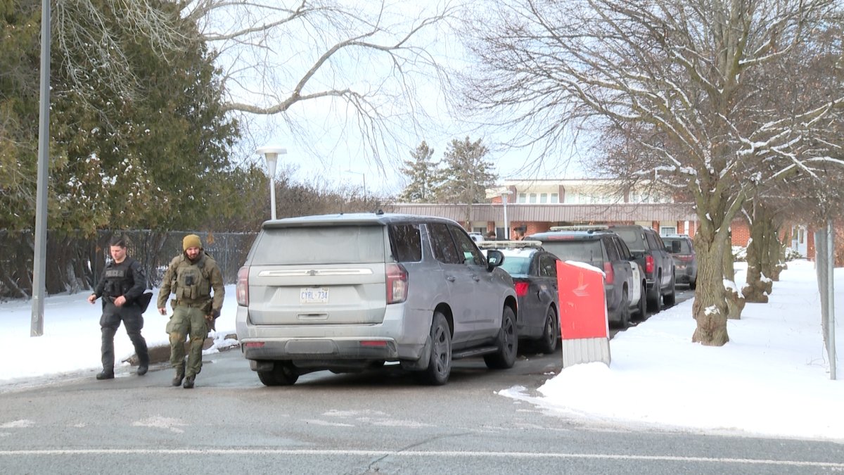 OPP say reports of an armed domestic dispute lead to a large police presence in Napanee Monday.