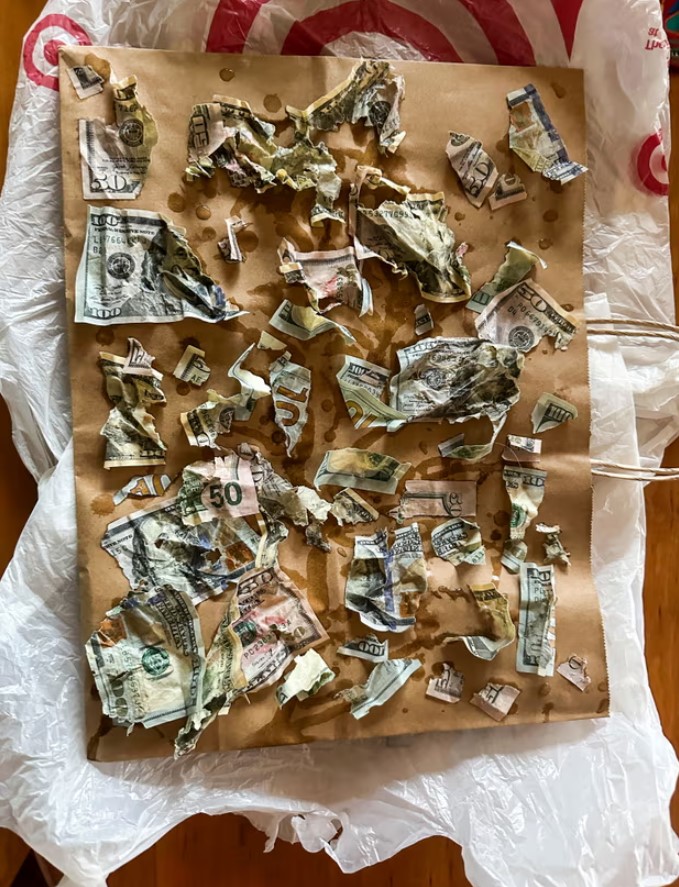 The money that was once ingested by Cecil is pictured in this screenshot from Instagram.