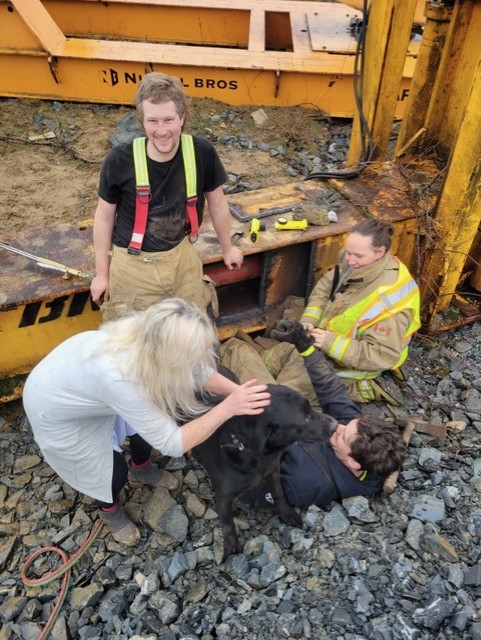 B.C. Labrador ‘Tanker’ rescued from steel beam with help from GPS, fire department