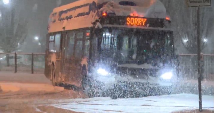 交通连通公司表示预计由于降雪，巴士和天车将出现延误