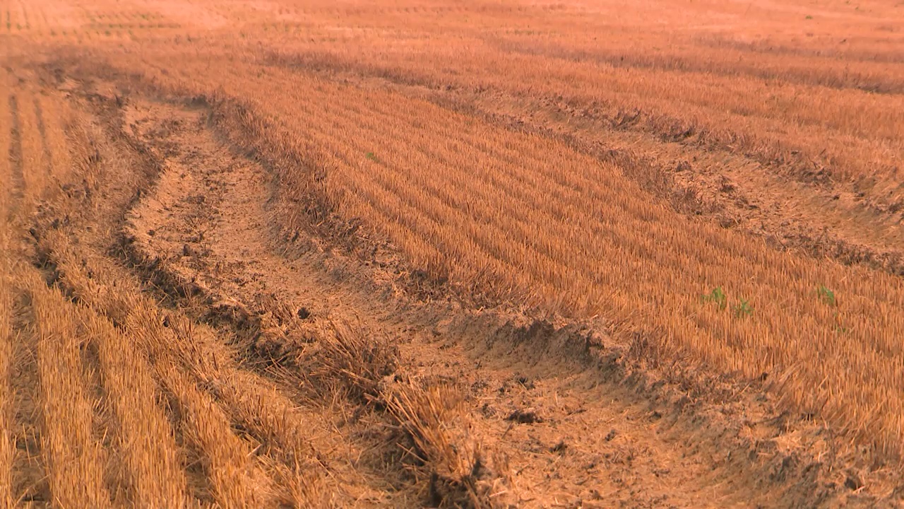 Правителството на Алберта предприема стъпки за смекчаване на риска от